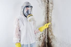  Amity Gardens, PA Mold Prevention & Removal Pros